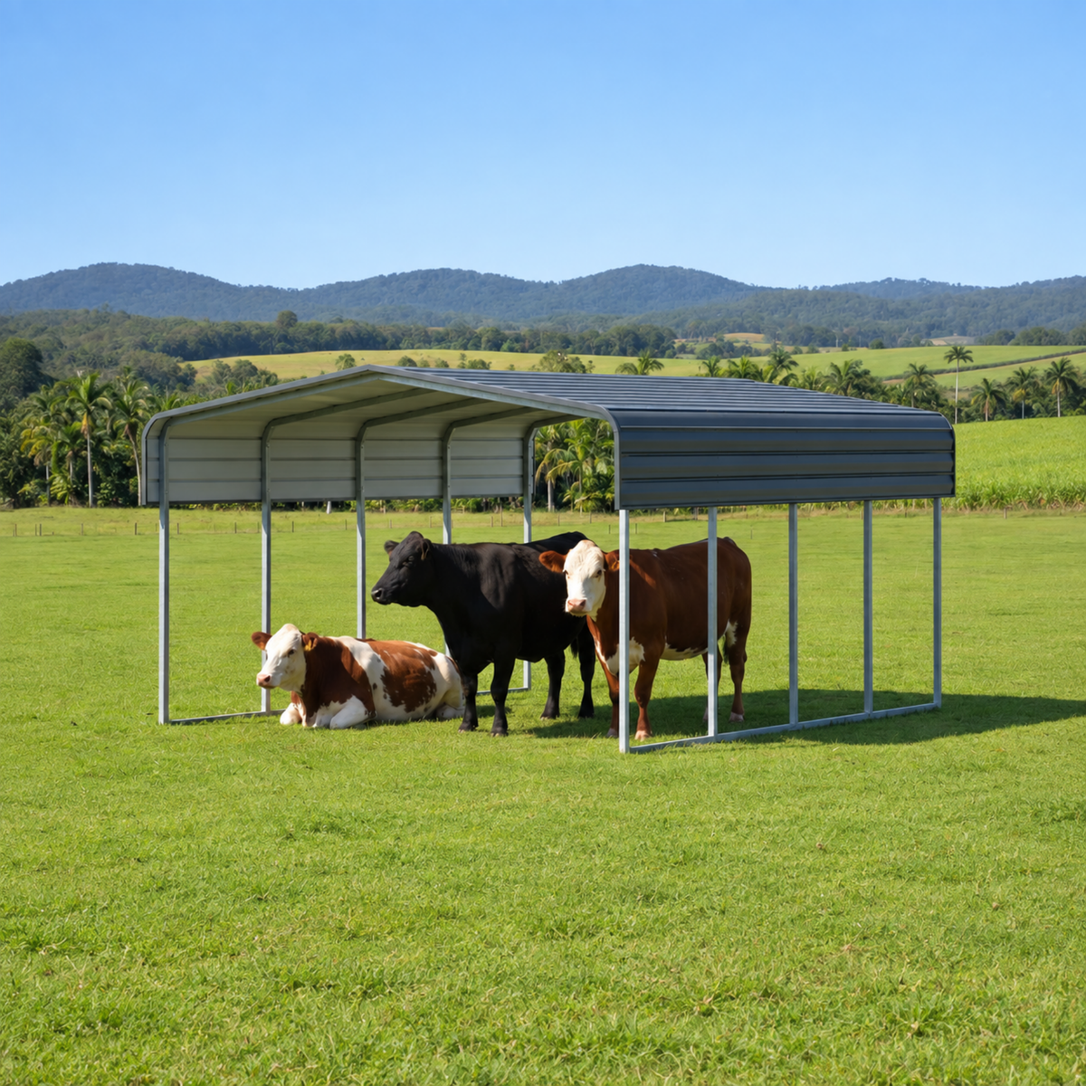 Shade Shed | 6170W x 6000L x 3600 Apex | C2