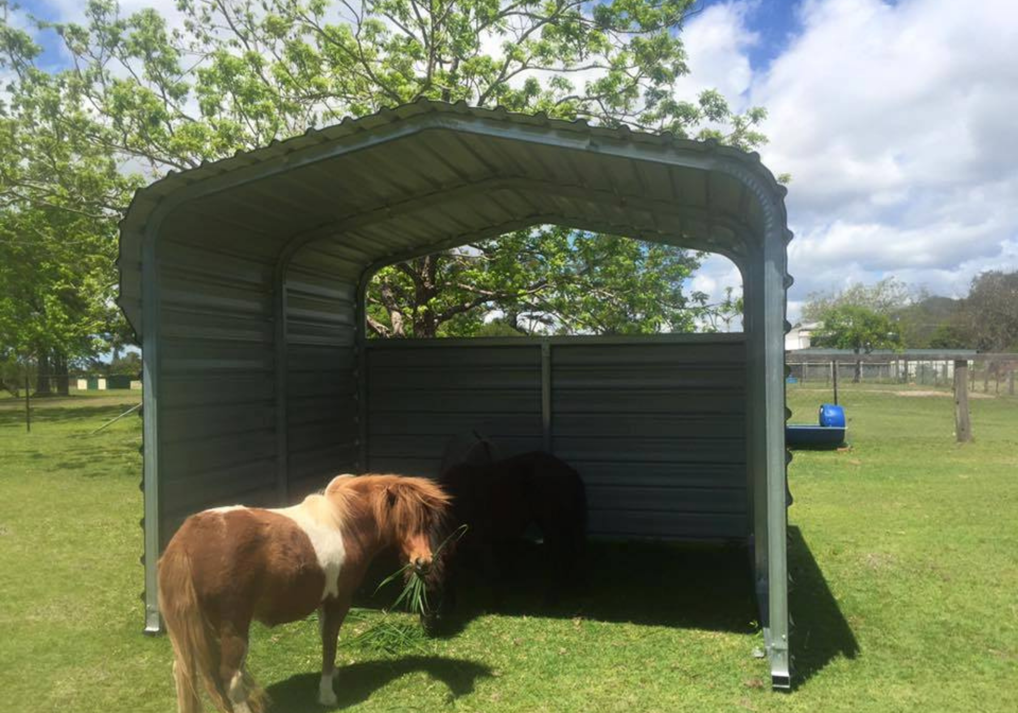 Livestock Shade Shed